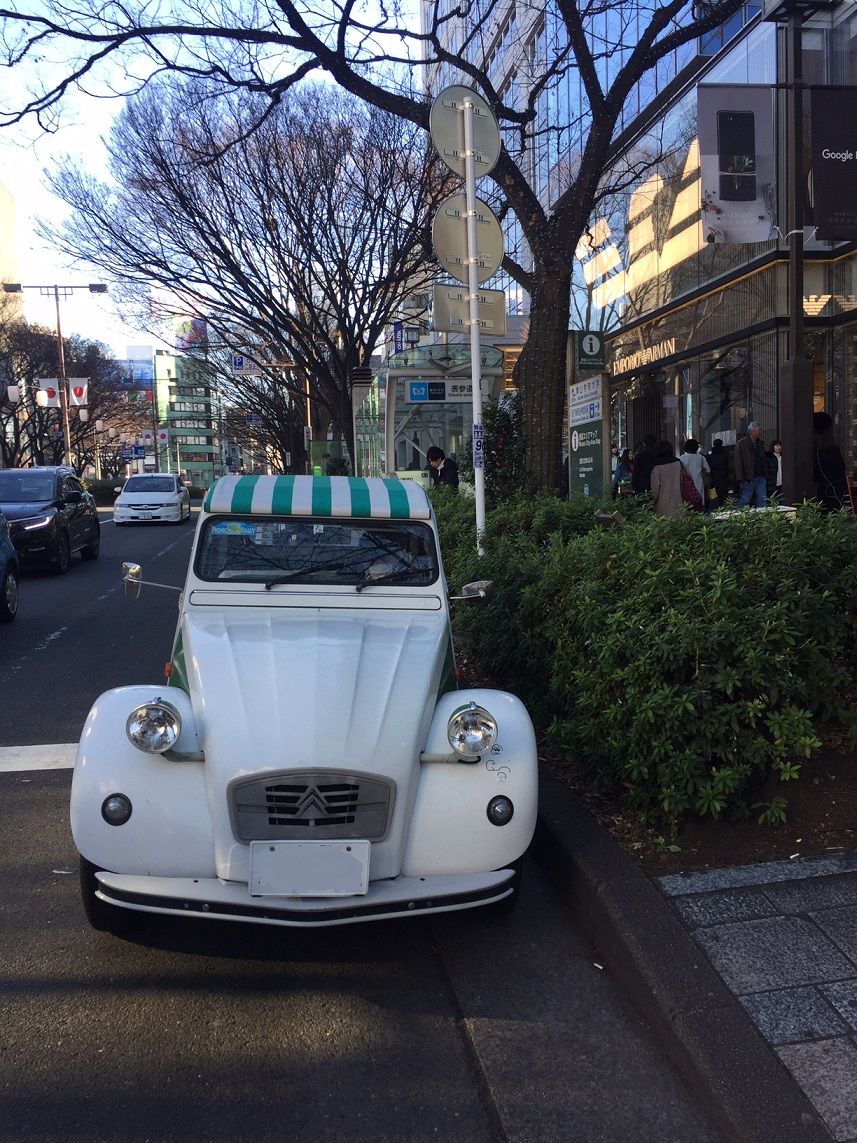 イメージ 7