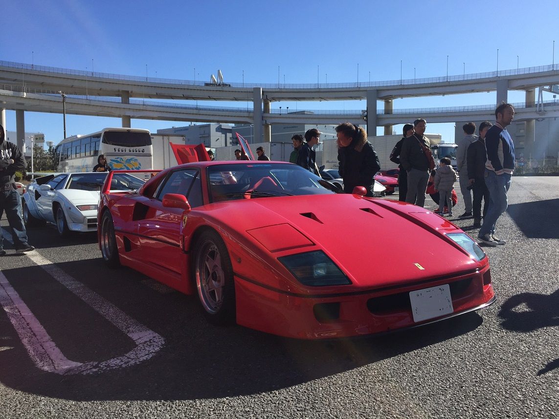 イメージ 7