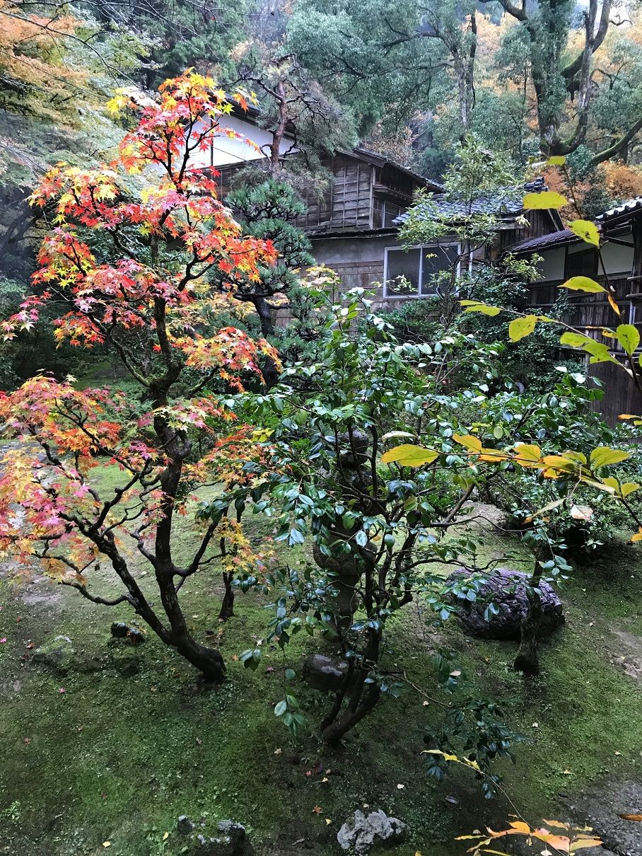 イメージ 29