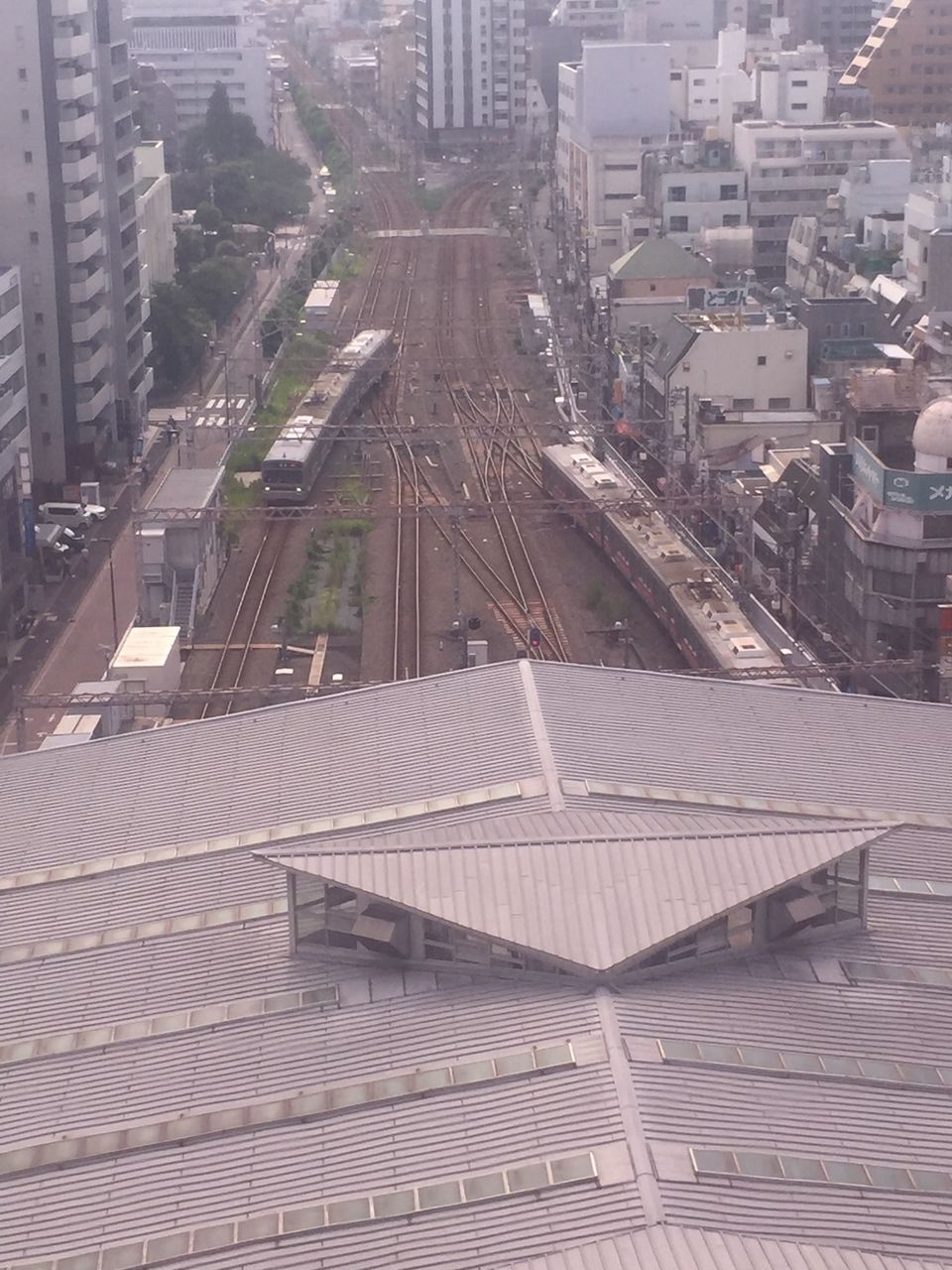 イメージ 19