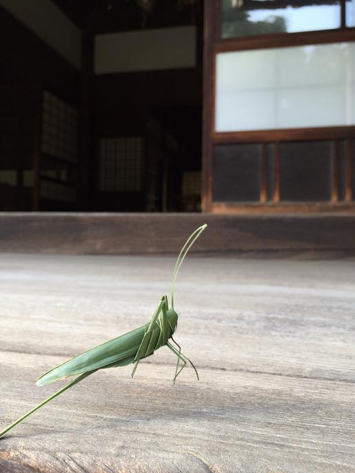 イメージ 30