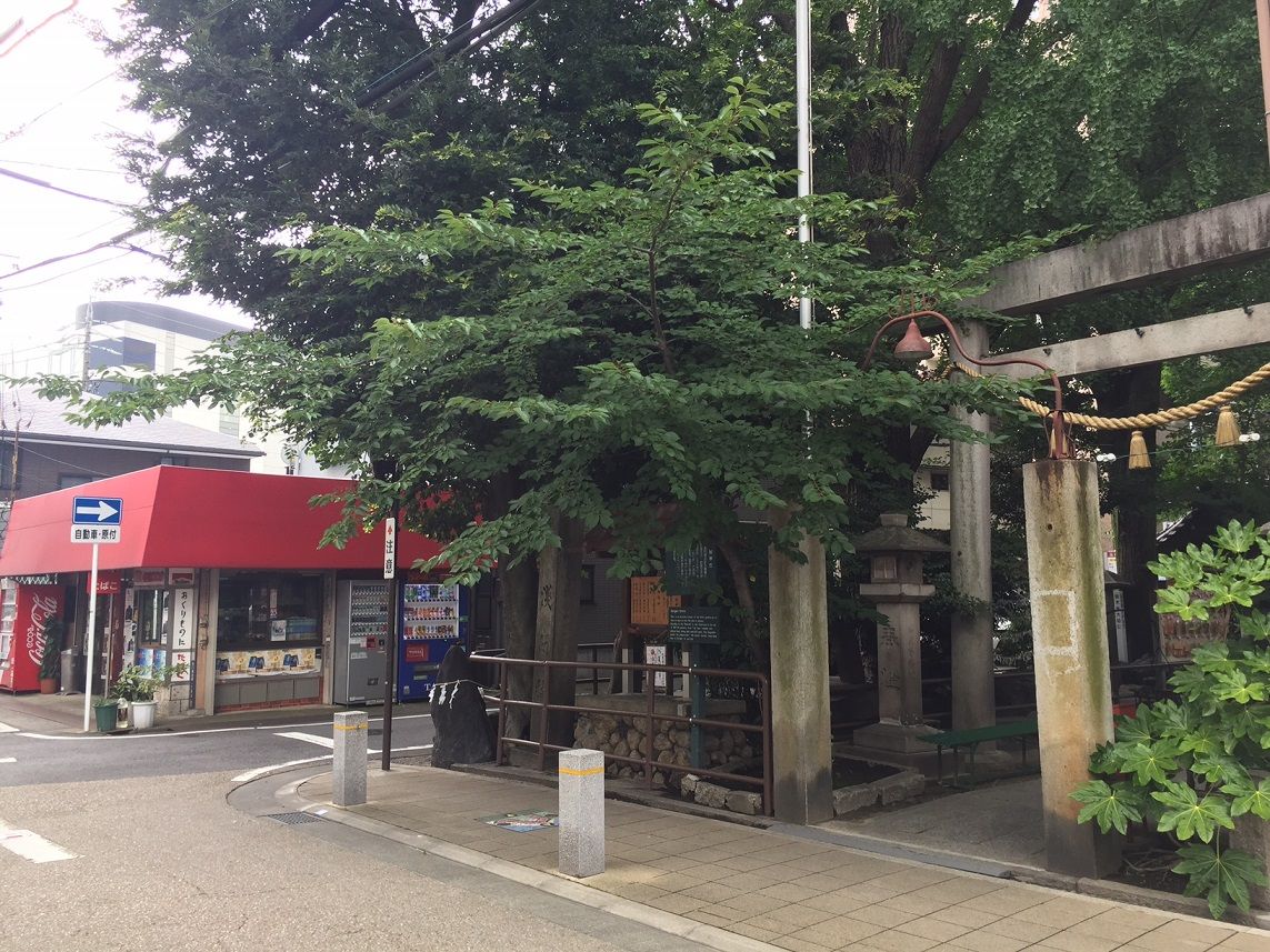イメージ 11