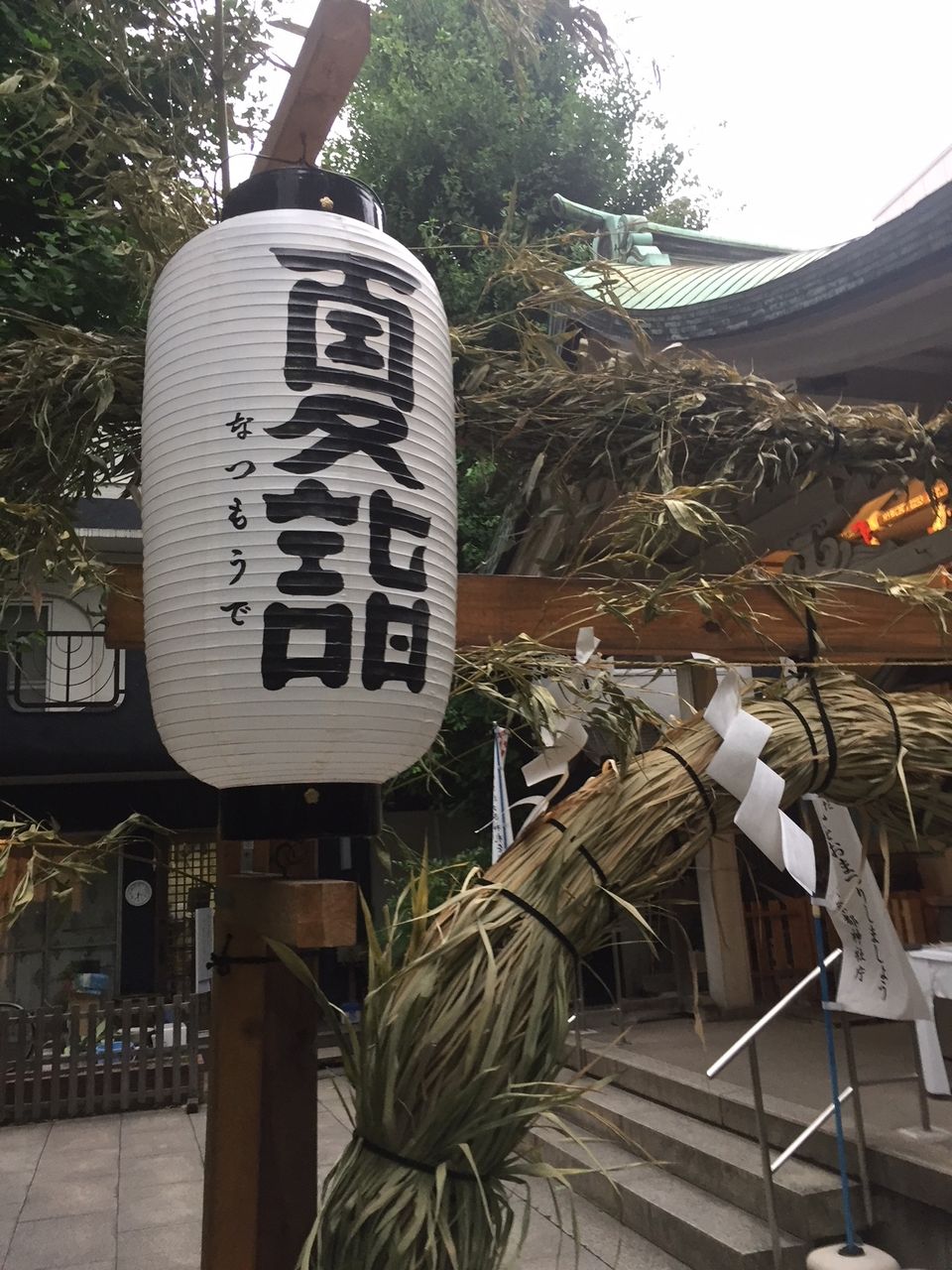 イメージ 11