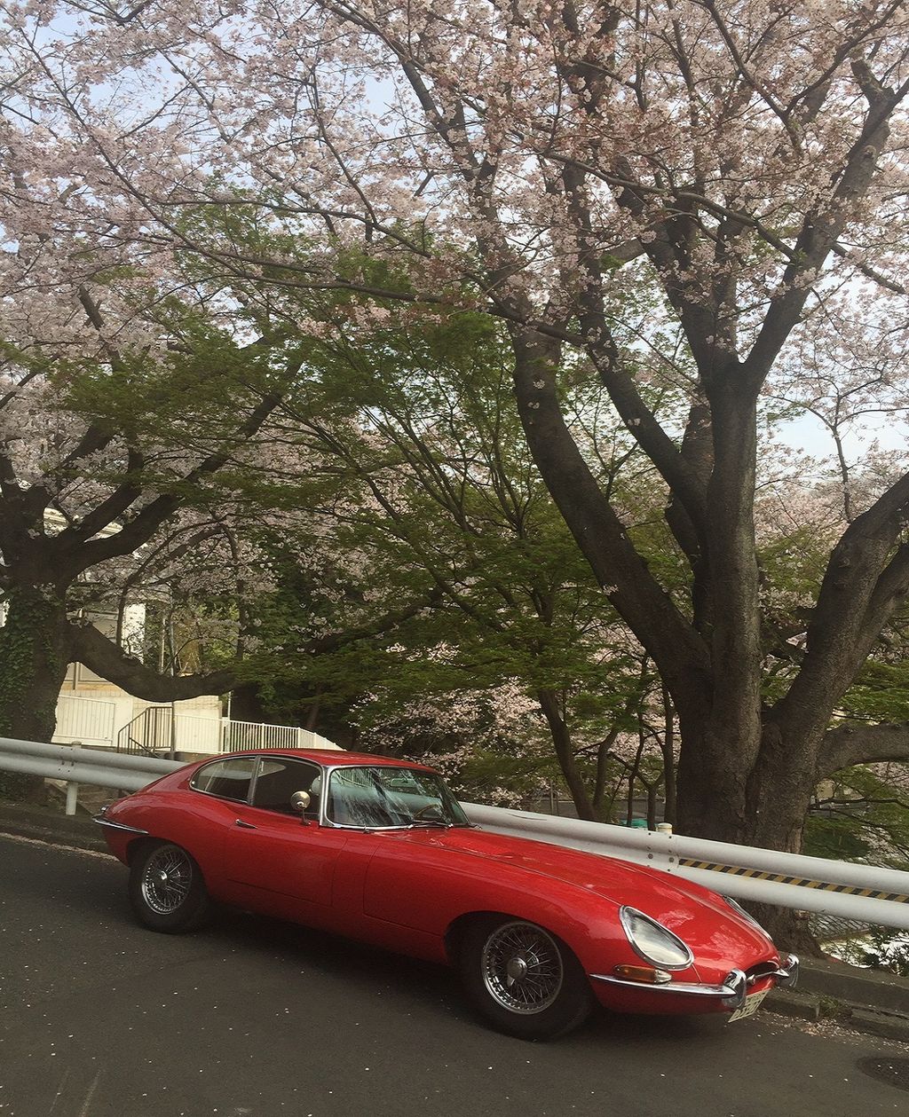 イメージ 6