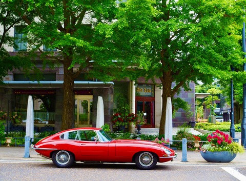 P5220609 - コピー