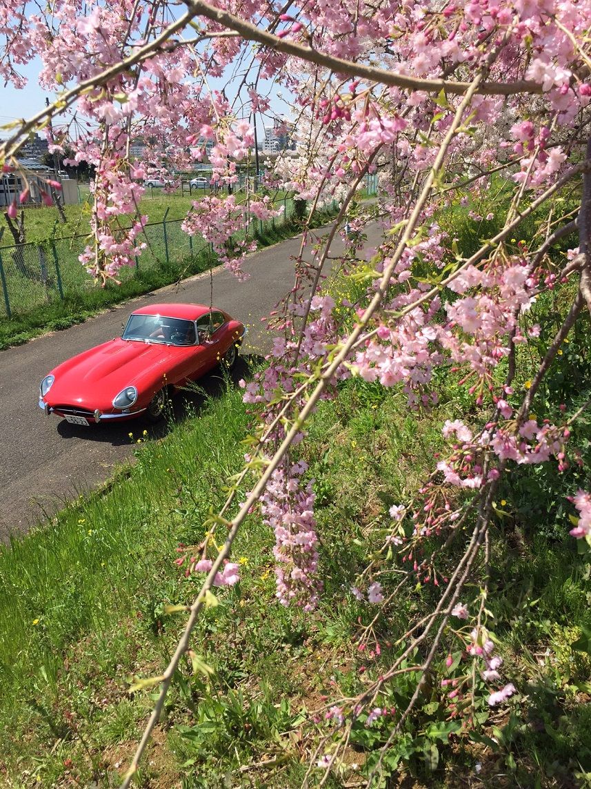 イメージ 19