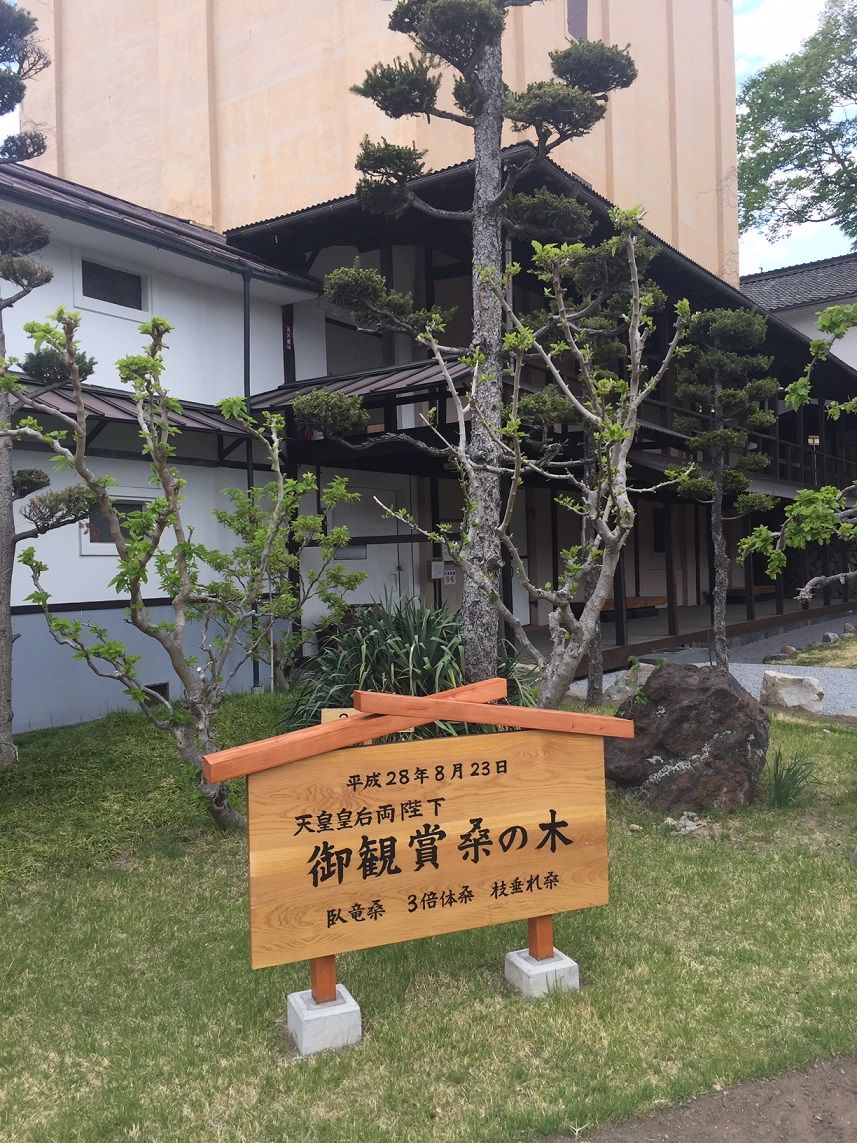 イメージ 31