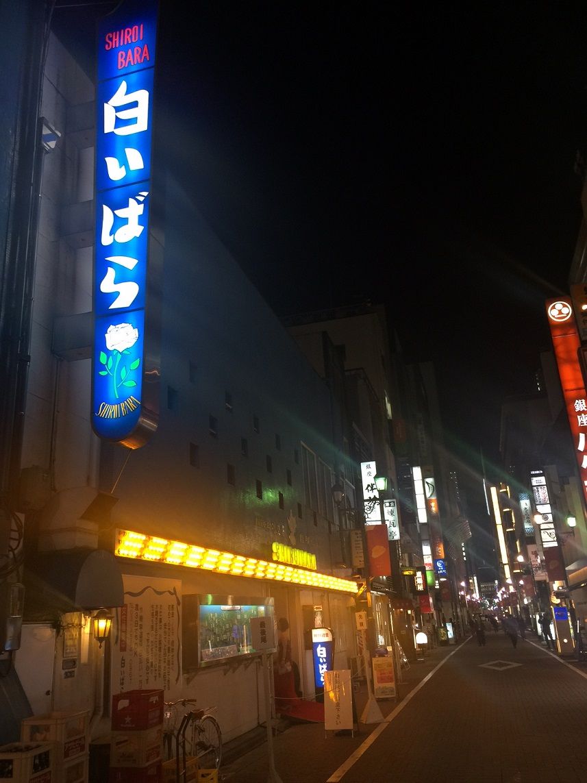 イメージ 5