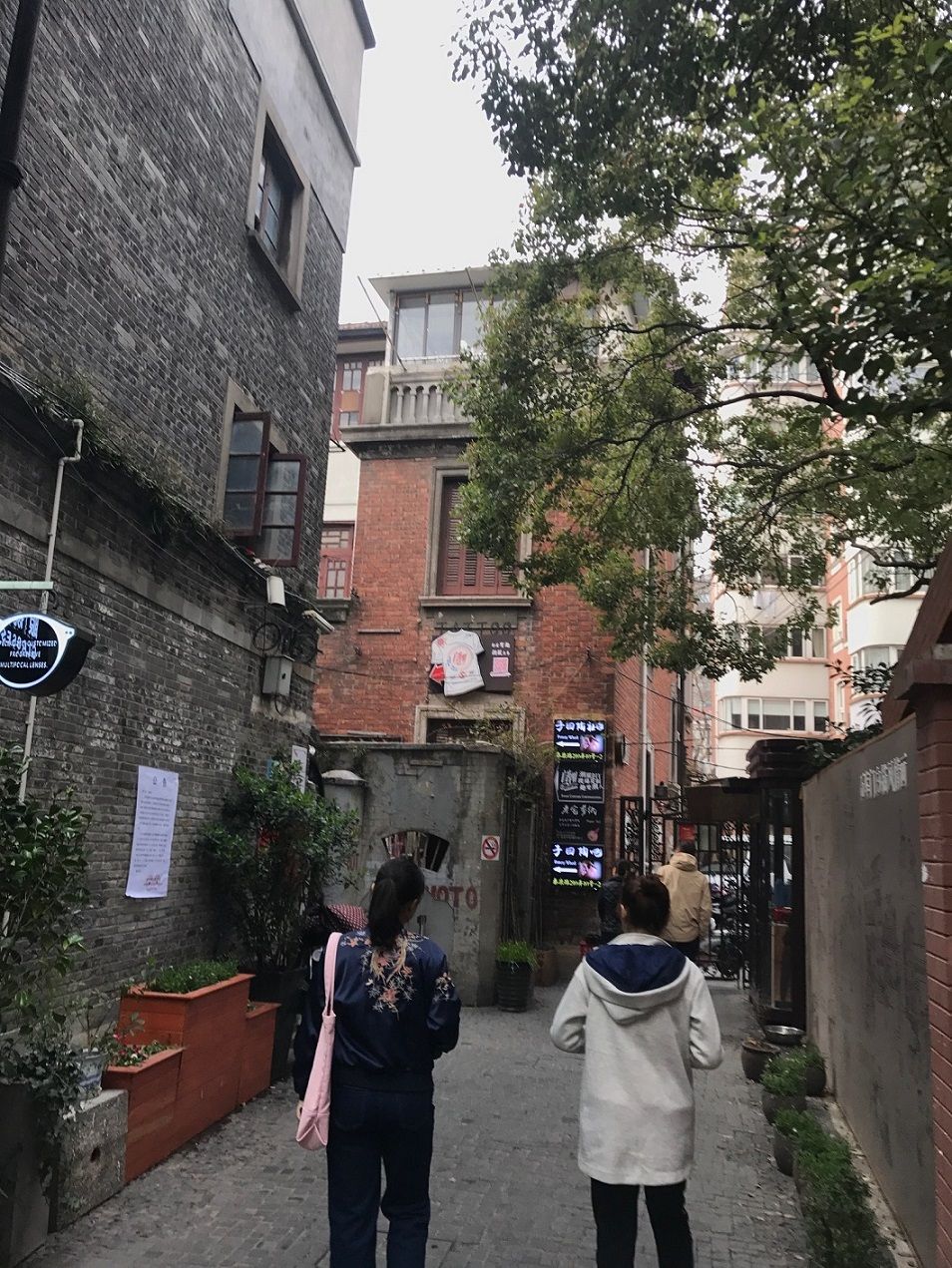 イメージ 20