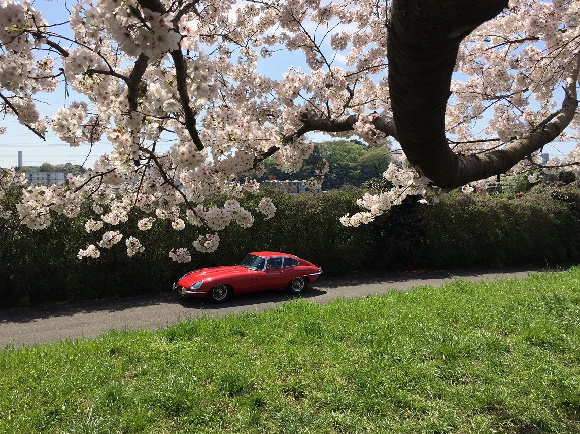 イメージ 14