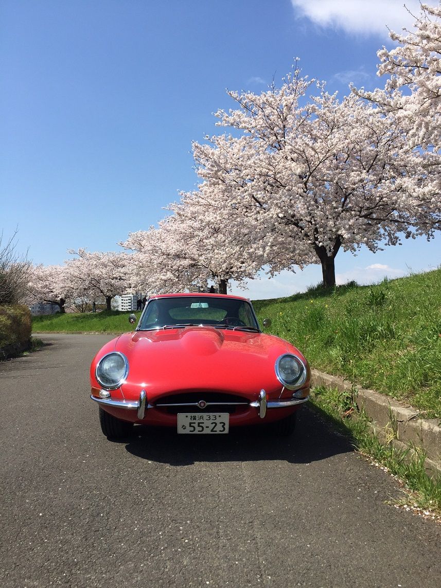 イメージ 13