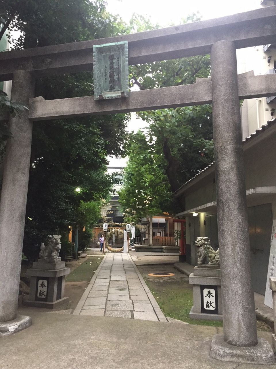 イメージ 10