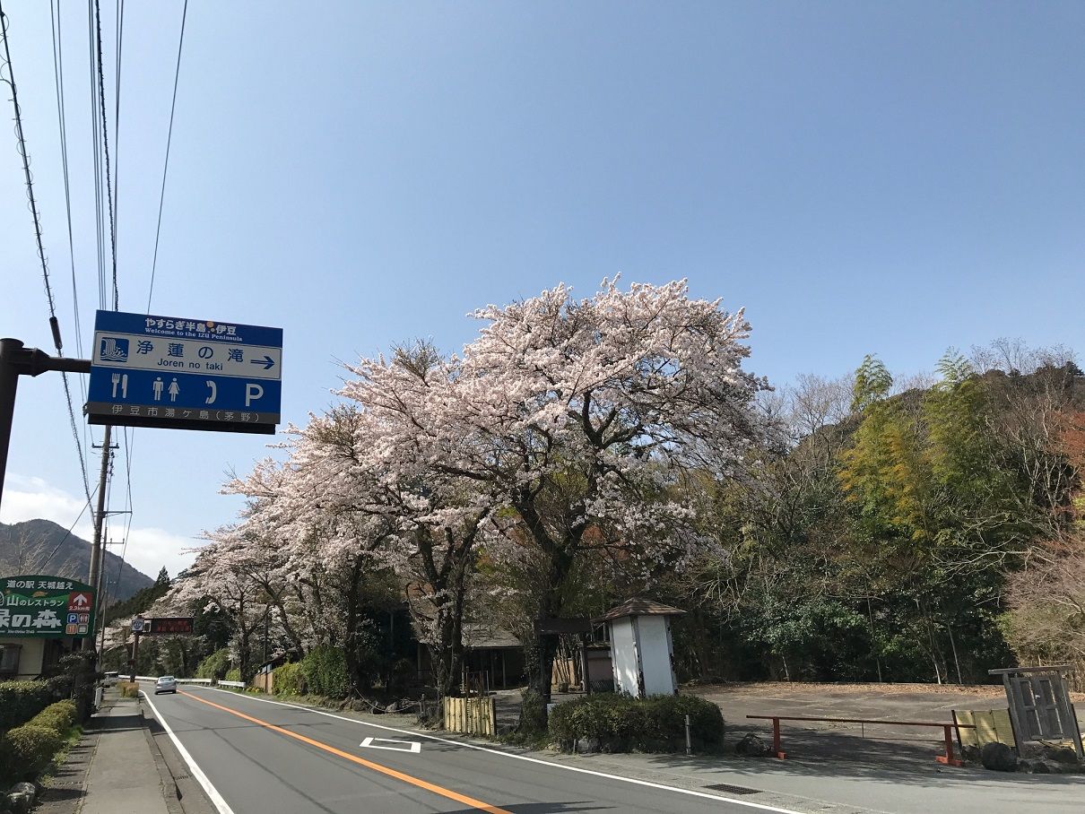 イメージ 5