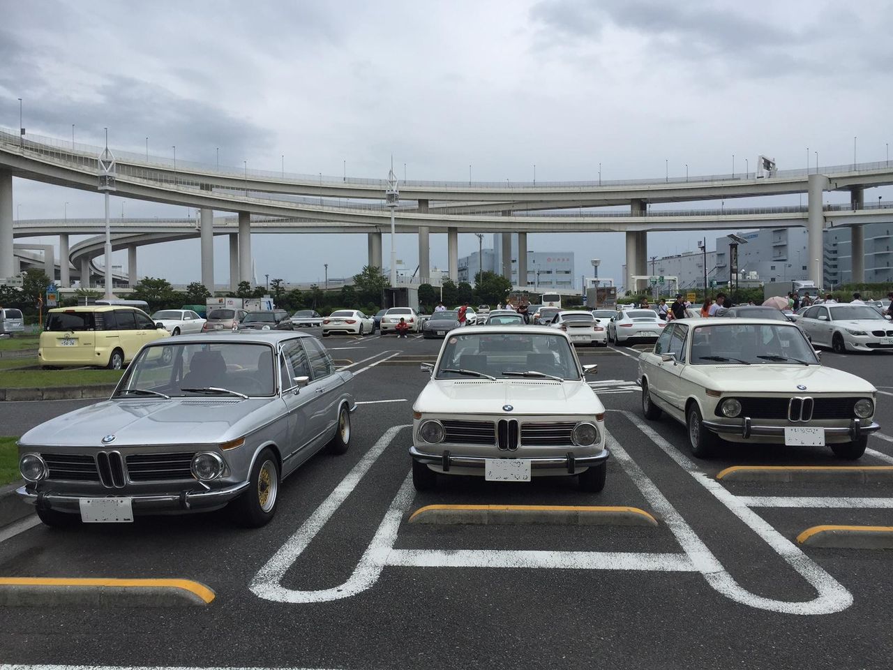 イメージ 6