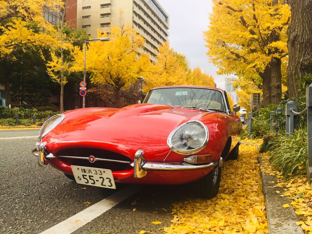 イメージ 5