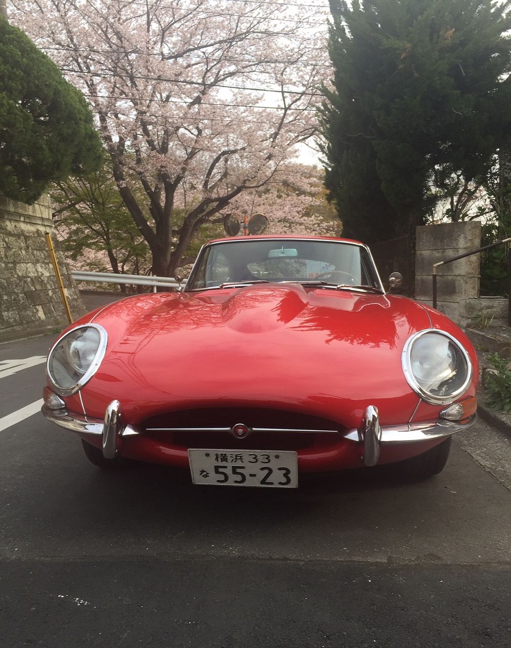 イメージ 7
