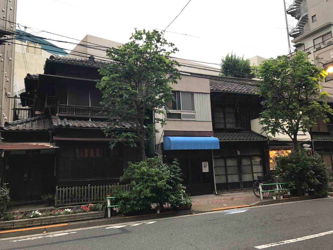 イメージ 5