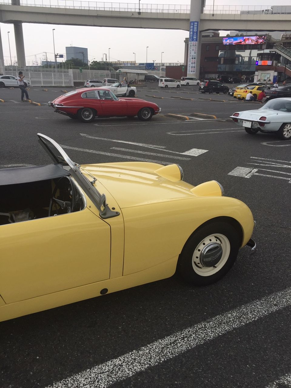 イメージ 12