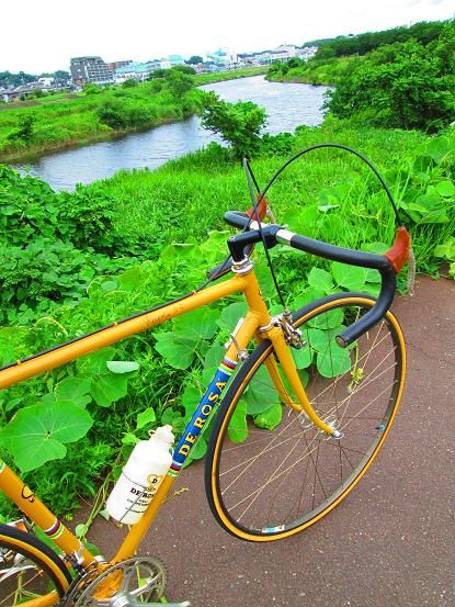 イメージ 20
