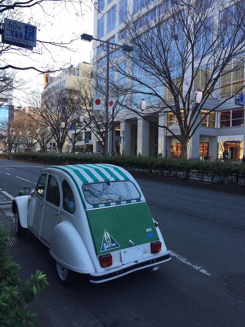 イメージ 6