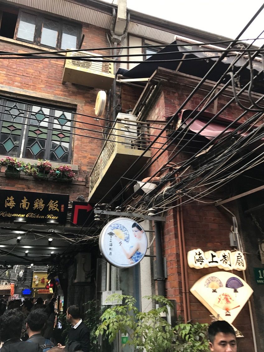 イメージ 7