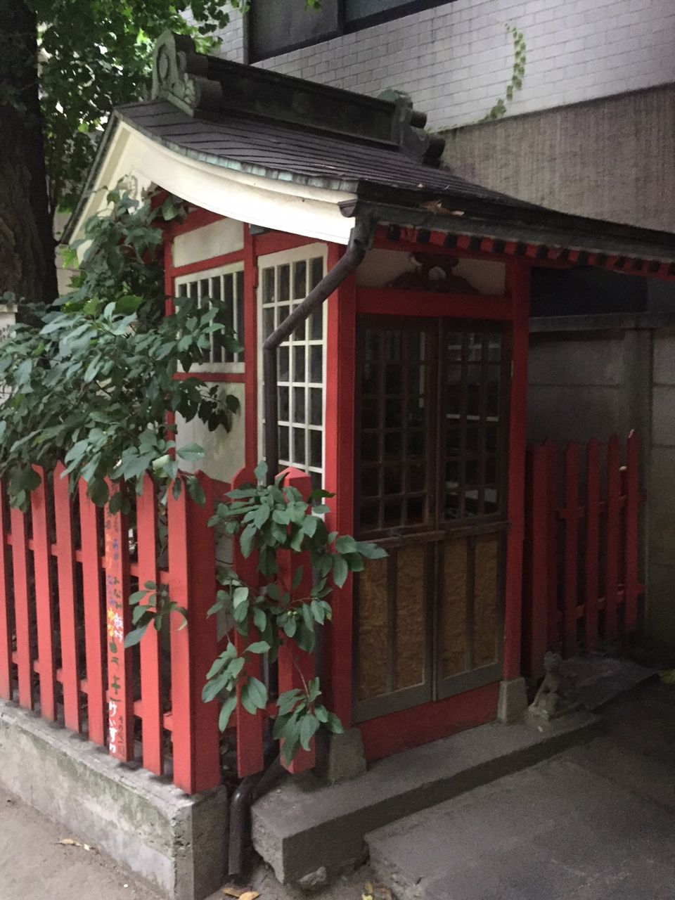 イメージ 12