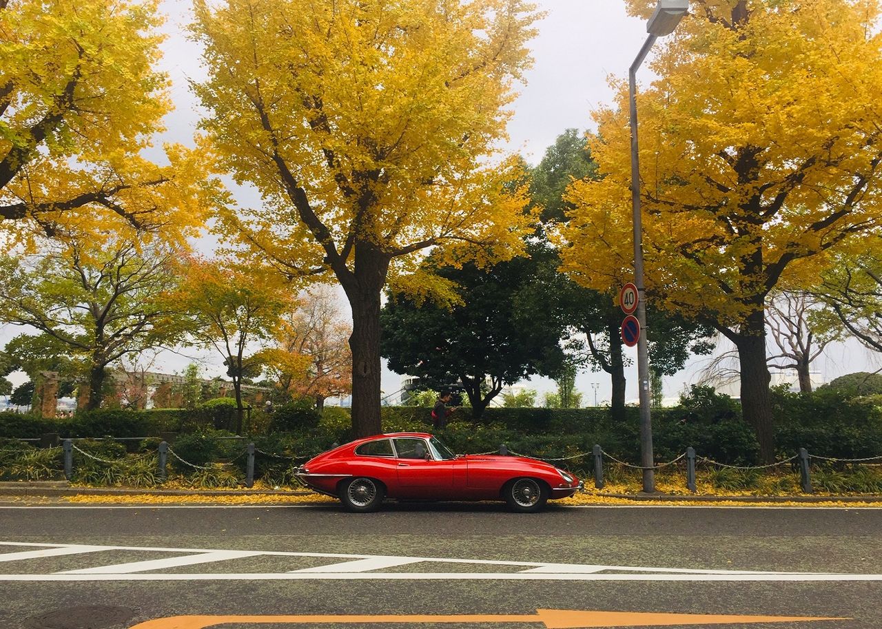 イメージ 8