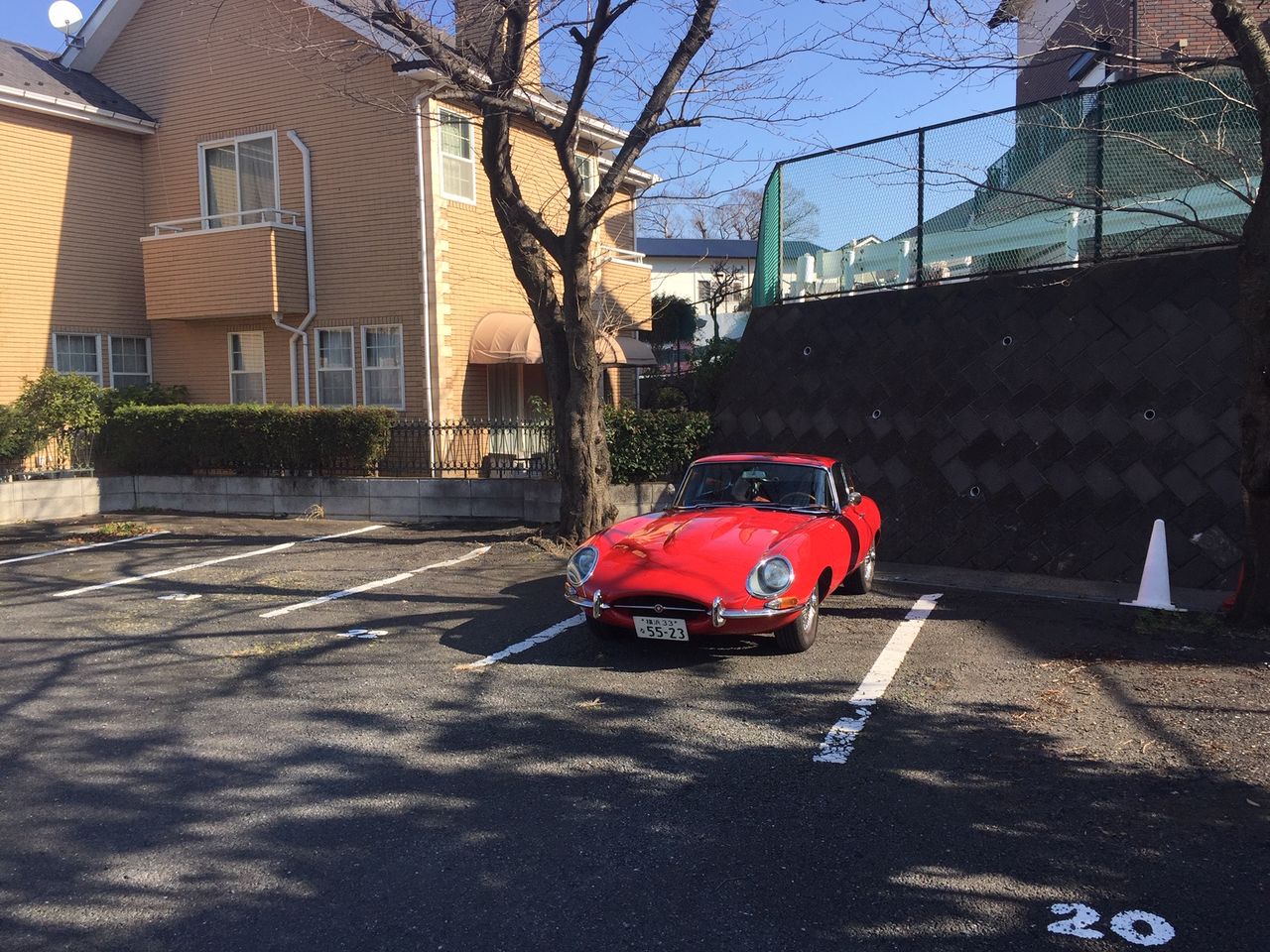 イメージ 5