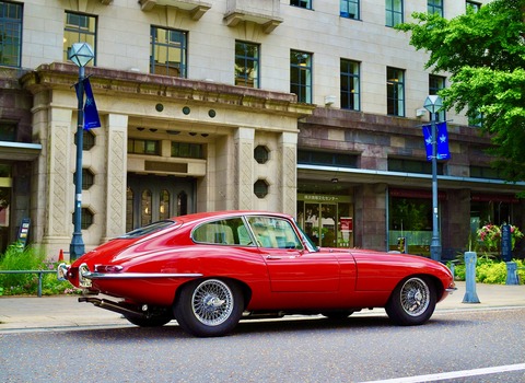 P5220590 - コピー