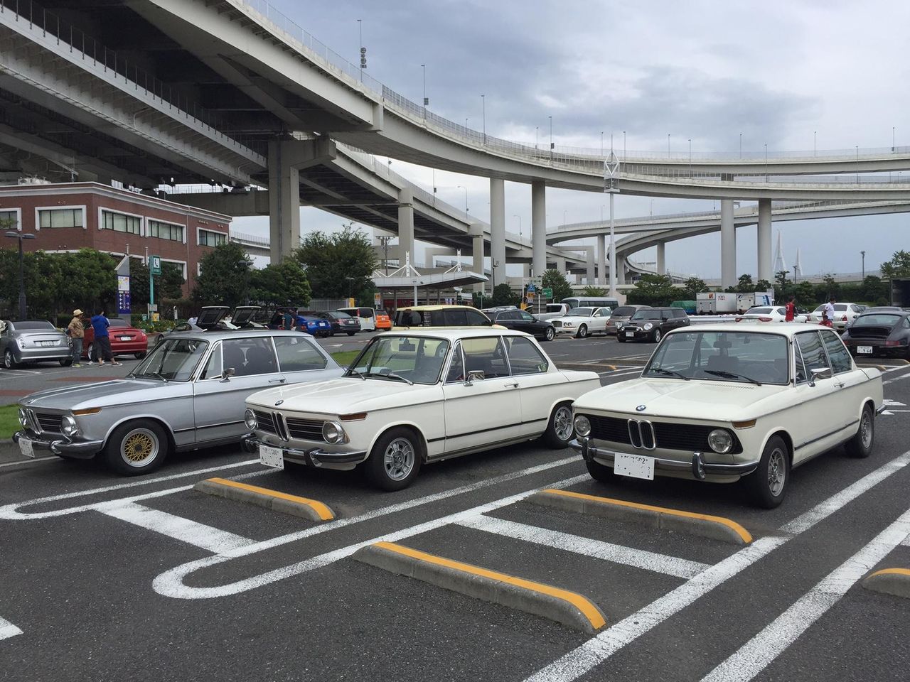 イメージ 3