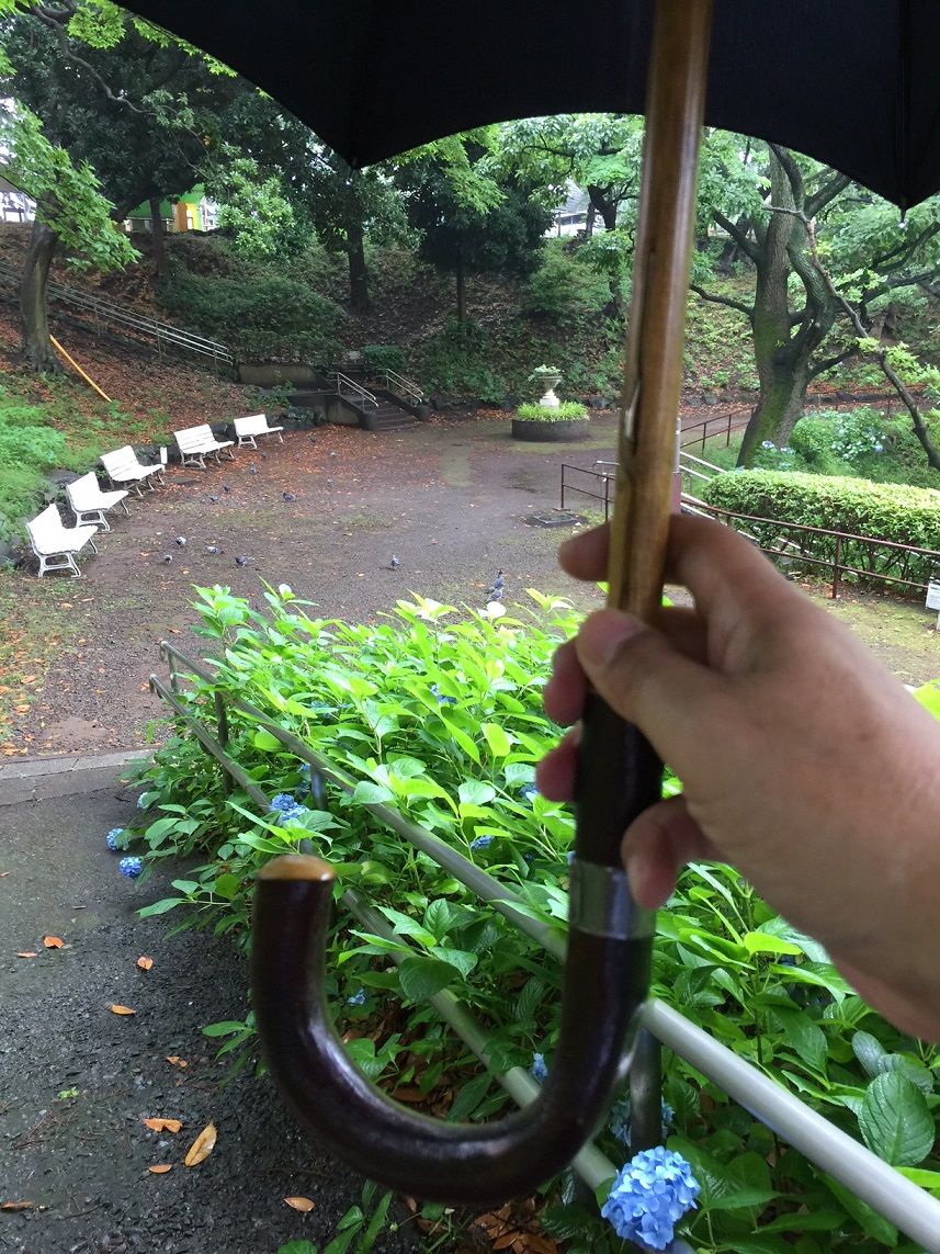 イメージ 10