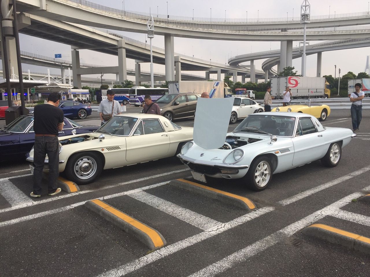 イメージ 9