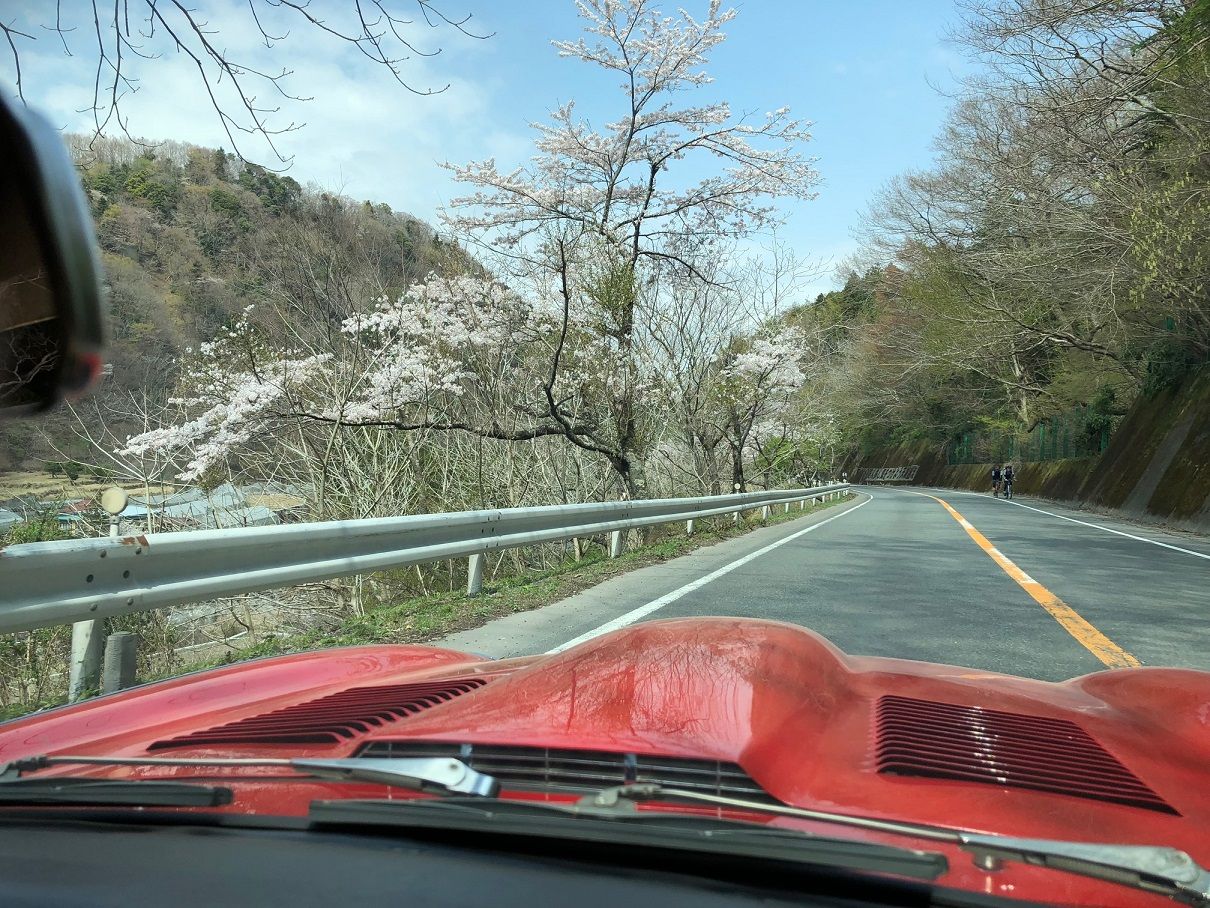 イメージ 31