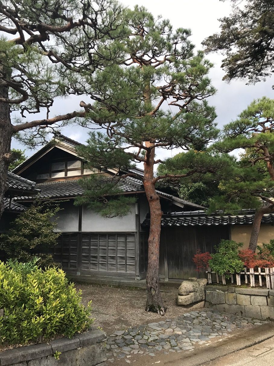 イメージ 9