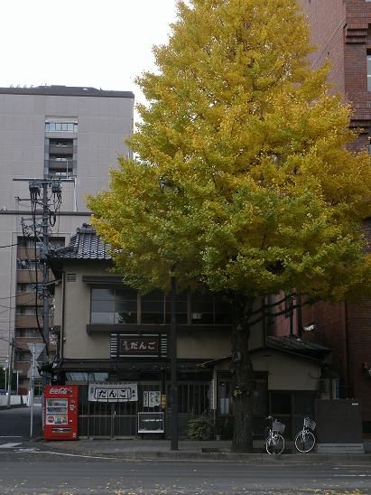 イメージ 12
