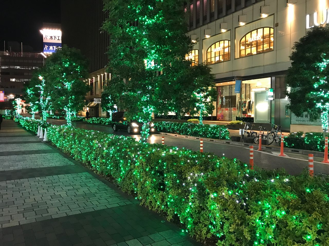 イメージ 7
