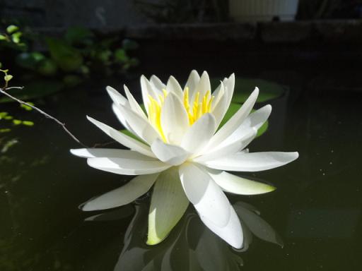 イメージ 3