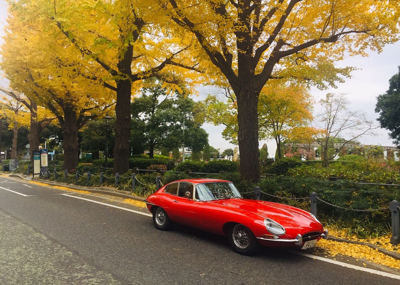 イメージ 6