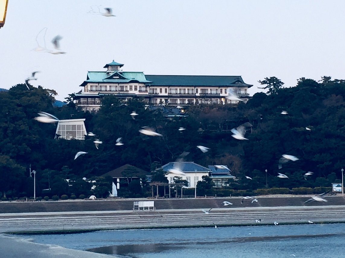 イメージ 10
