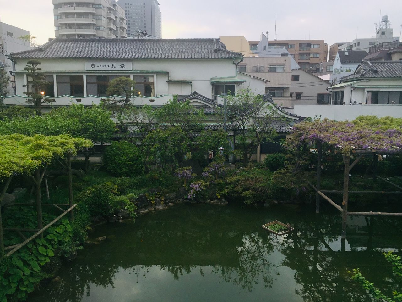 イメージ 2