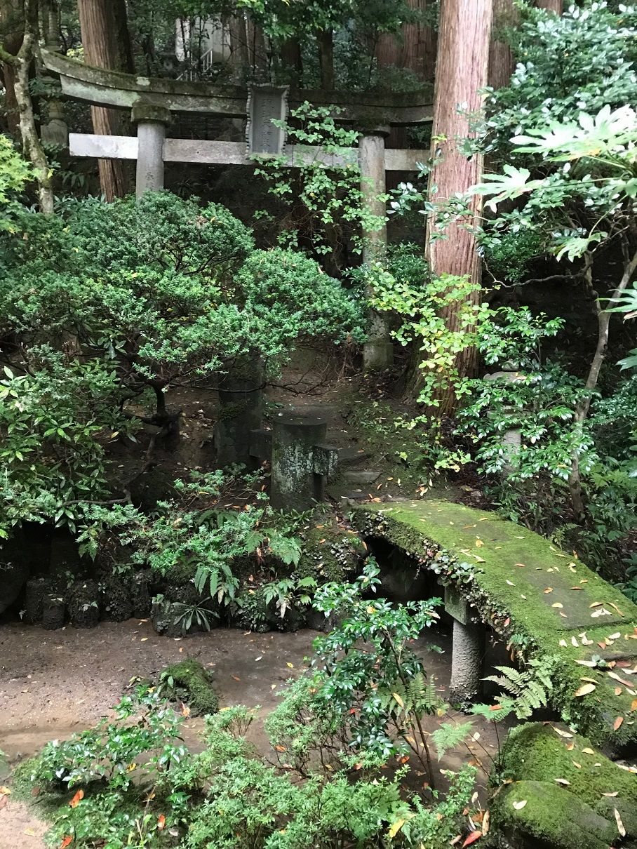 イメージ 36