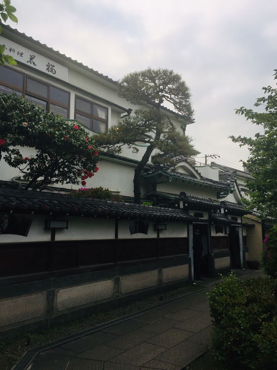 イメージ 4