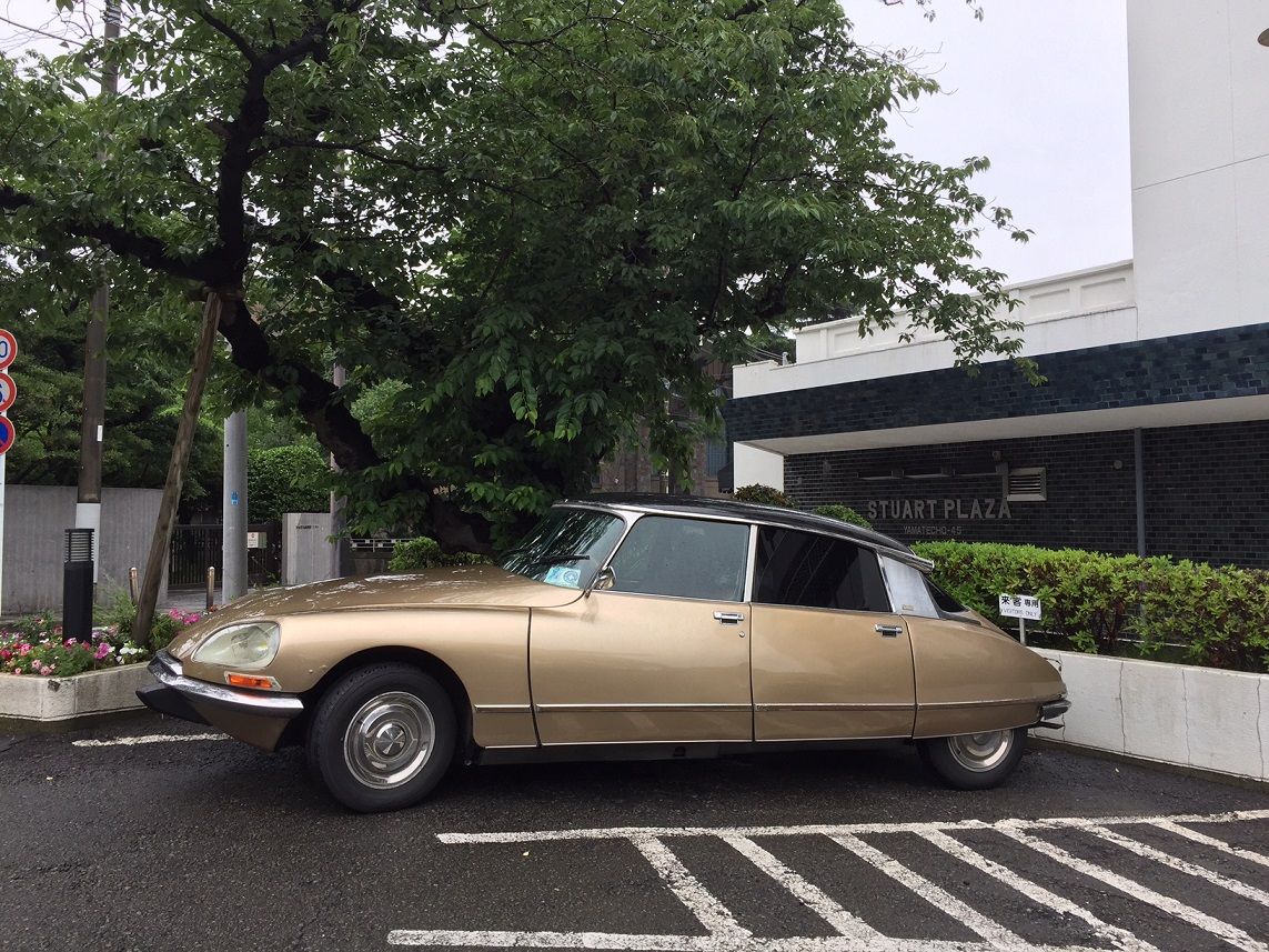 イメージ 15