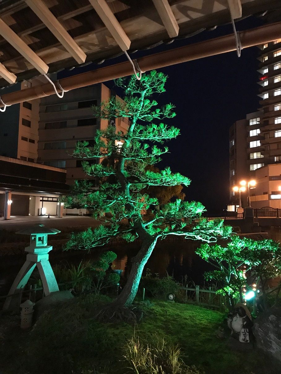 イメージ 40