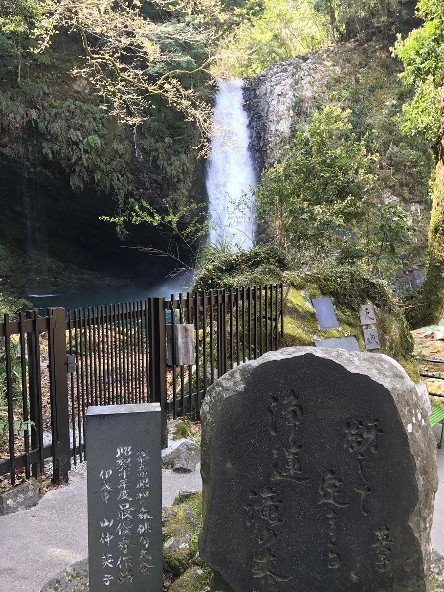 イメージ 11