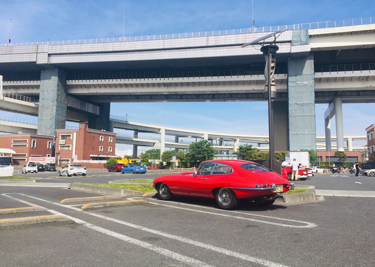 イメージ 5