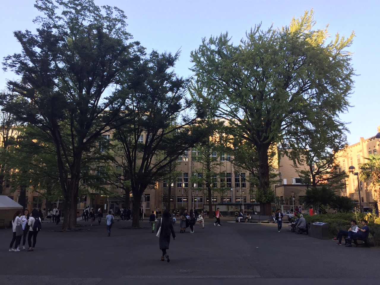 イメージ 22