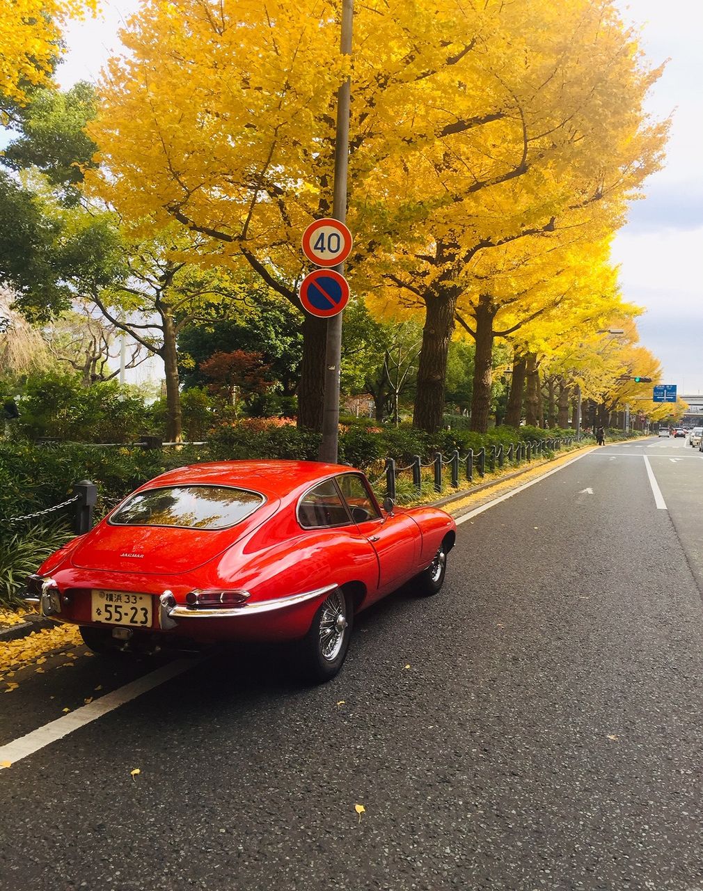 イメージ 7
