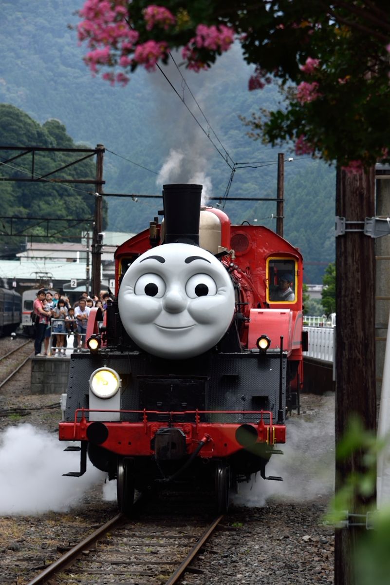 イメージ 1