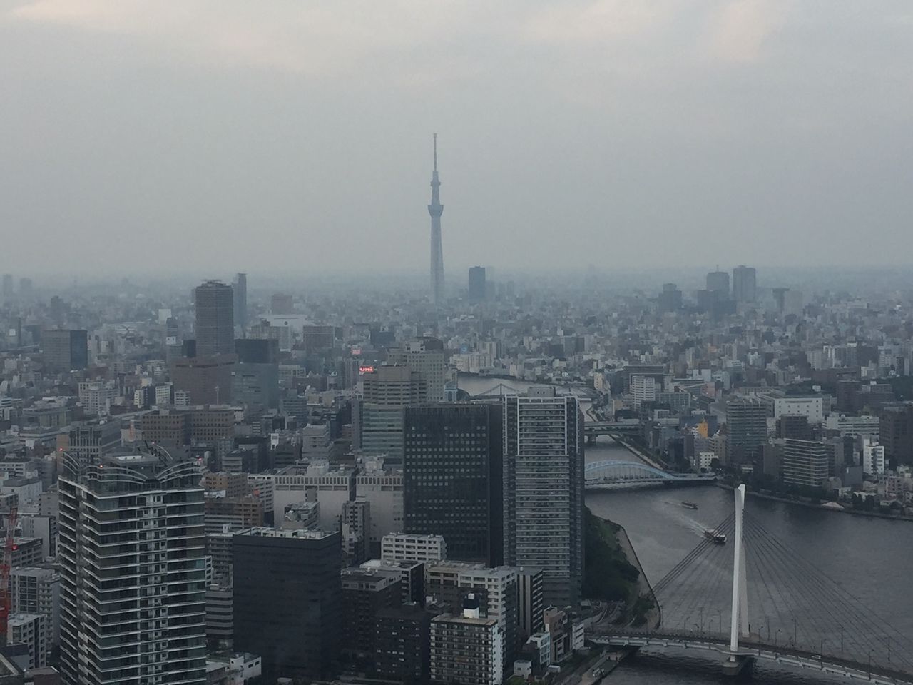 イメージ 6